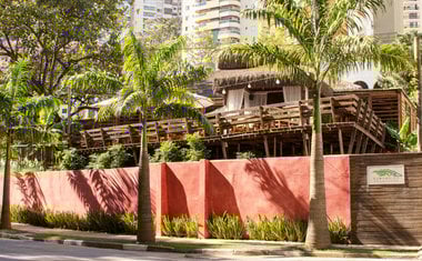 Imagem de destaque para Bananeira