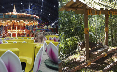 Imagem de destaque para Saiba tudo sobre o Animália Park, parque de diversão com reserva ambiental que inaugura hoje em Cotia