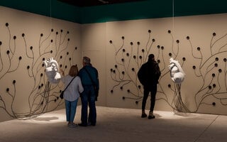 Anexa CCBB Movimentos Miméticos | Centro Cultural do Banco do Brasil