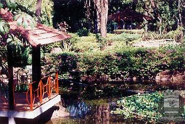 Imagem de destaque para Jardim Japonês