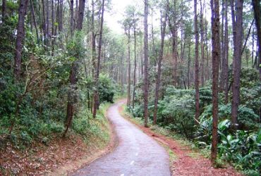 Imagem de destaque para Parque Anhanguera