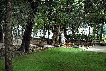 Imagem de destaque para Parque Municipal Mário Covas
