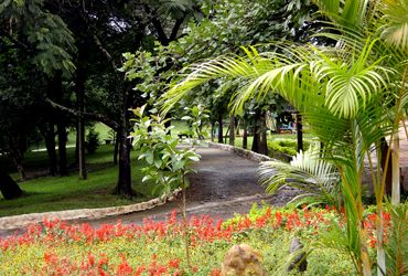 Imagem de destaque para Parque Raposo Tavares