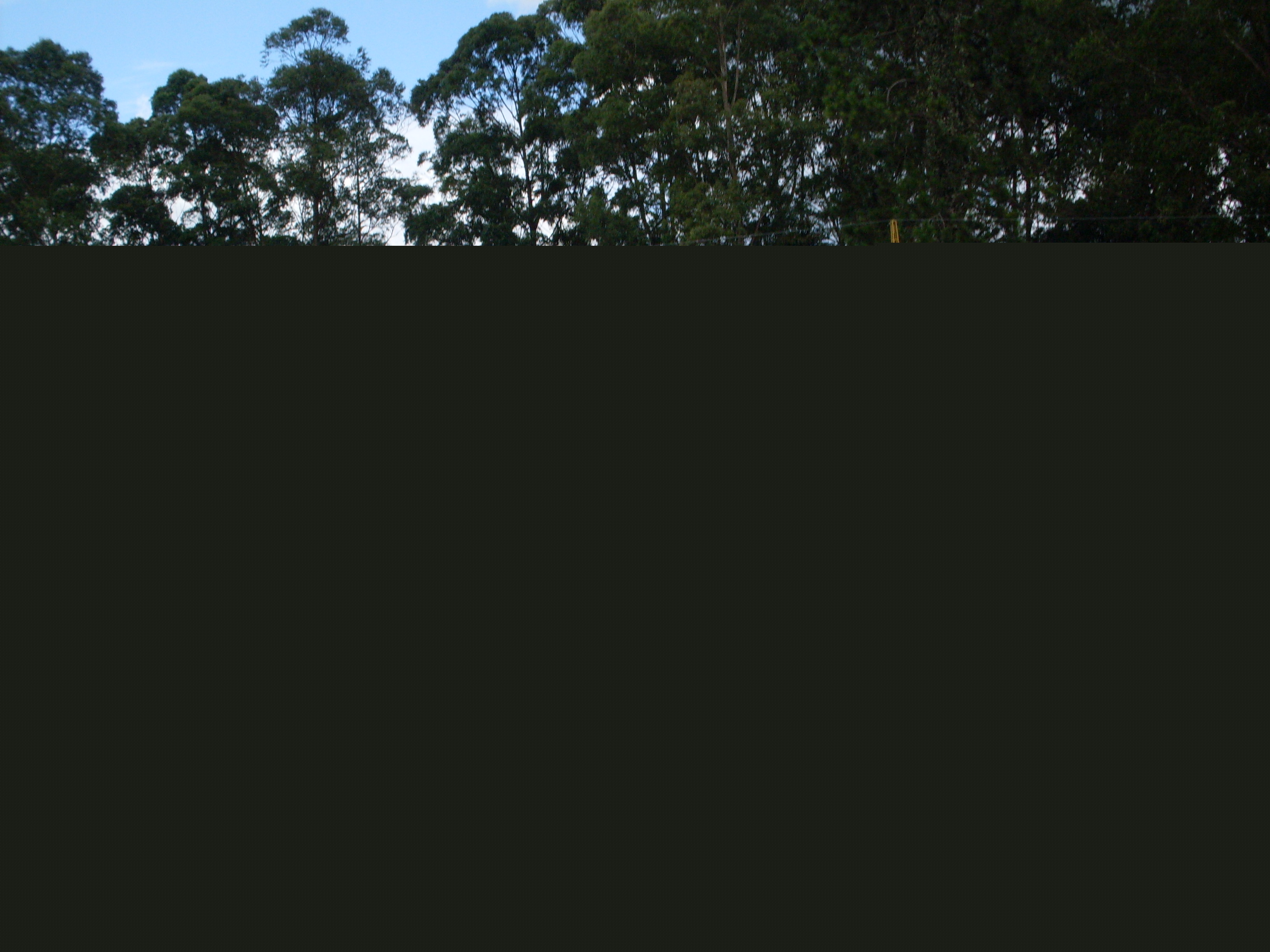 Imagem de destaque para Ski Mountain Park
