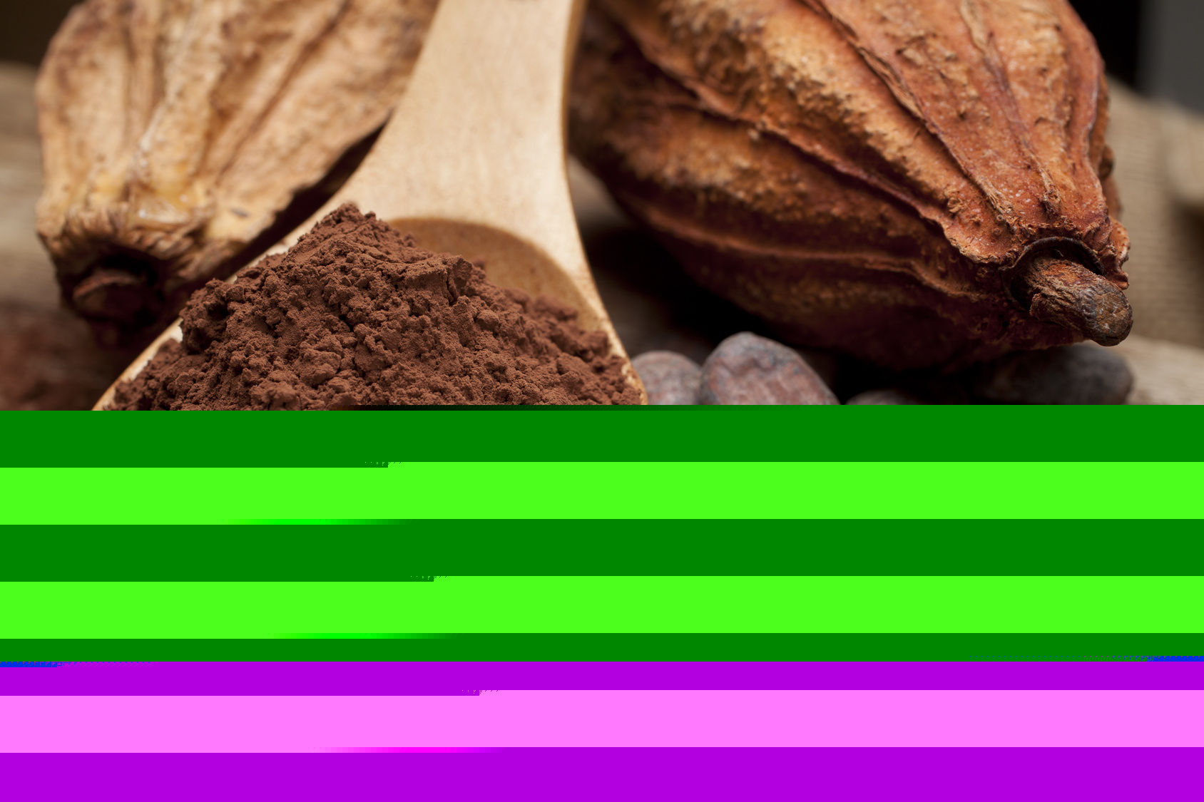 QUANTO MAIS CACAU, MAIS BENÉFICO O CHOCOLATE É PARA A SAÚDE?