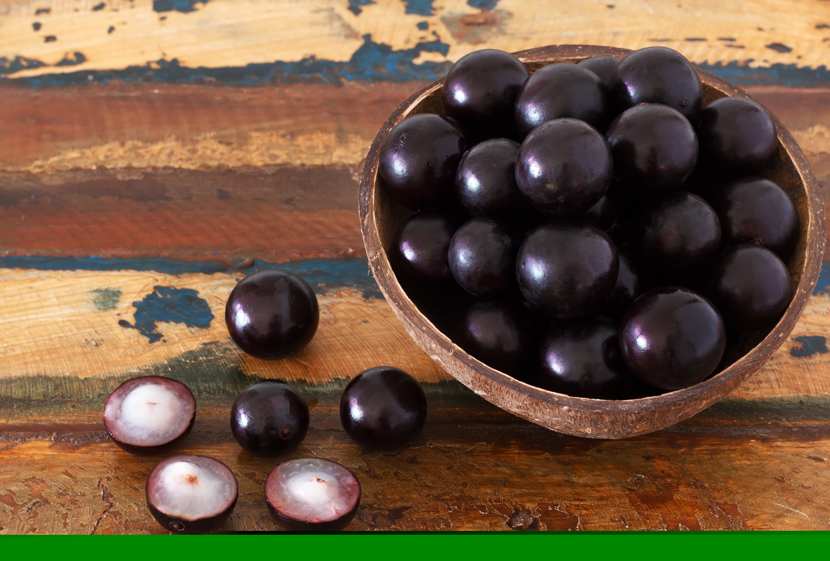 JABUTICABA